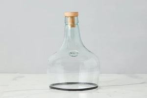 Glass Bottle Cloche