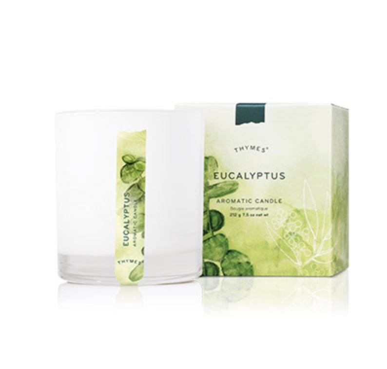 Thymes Eucalyptus Poured Candle